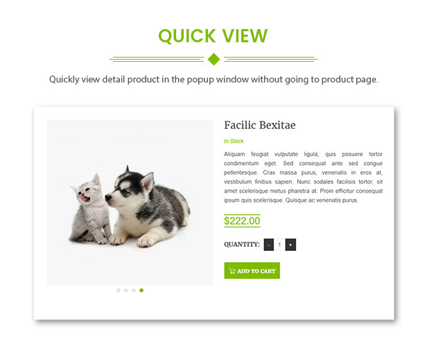 Peto | Animal and Pet Shop WooCommerce WordPress Theme