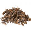 Natural dried crickets